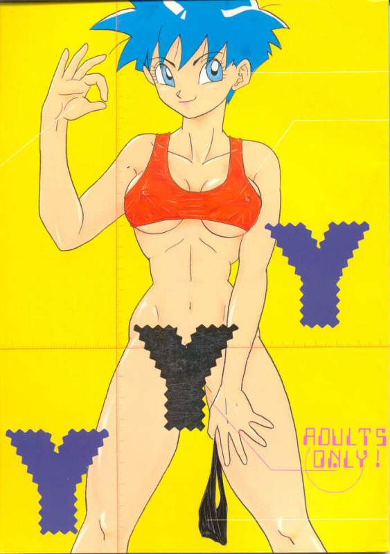 [Chirigami Goya, Fusuma go Ten (Shouji Hariko)] YYY (Dragon Ball)